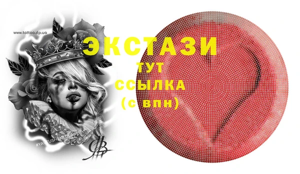 стаф Новодвинск