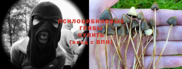 эйфоретик Новокубанск