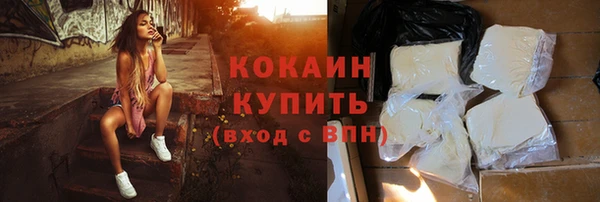 стаф Новодвинск