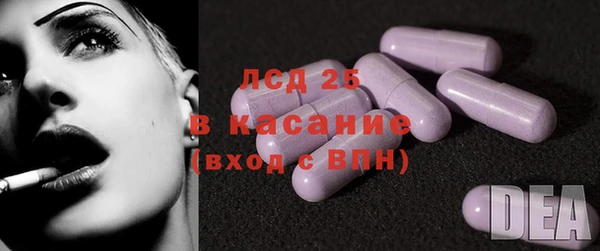 стаф Новодвинск