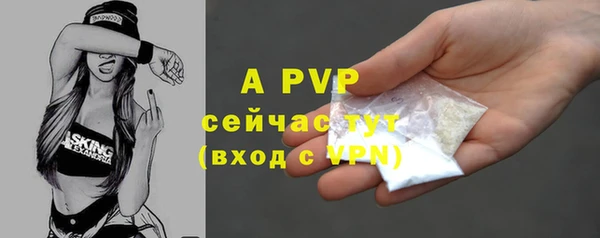 эйфоретик Новозыбков