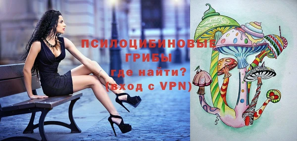 стаф Новодвинск