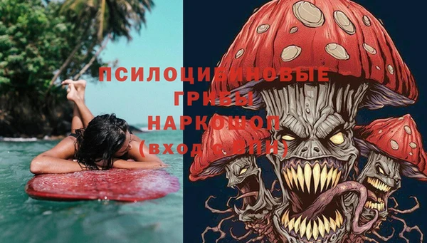 эйфоретик Новокубанск