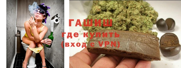 стаф Новодвинск
