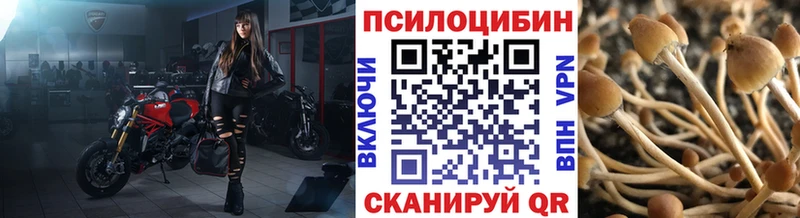 Псилоцибиновые грибы GOLDEN TEACHER  Купить где  Почеп 
